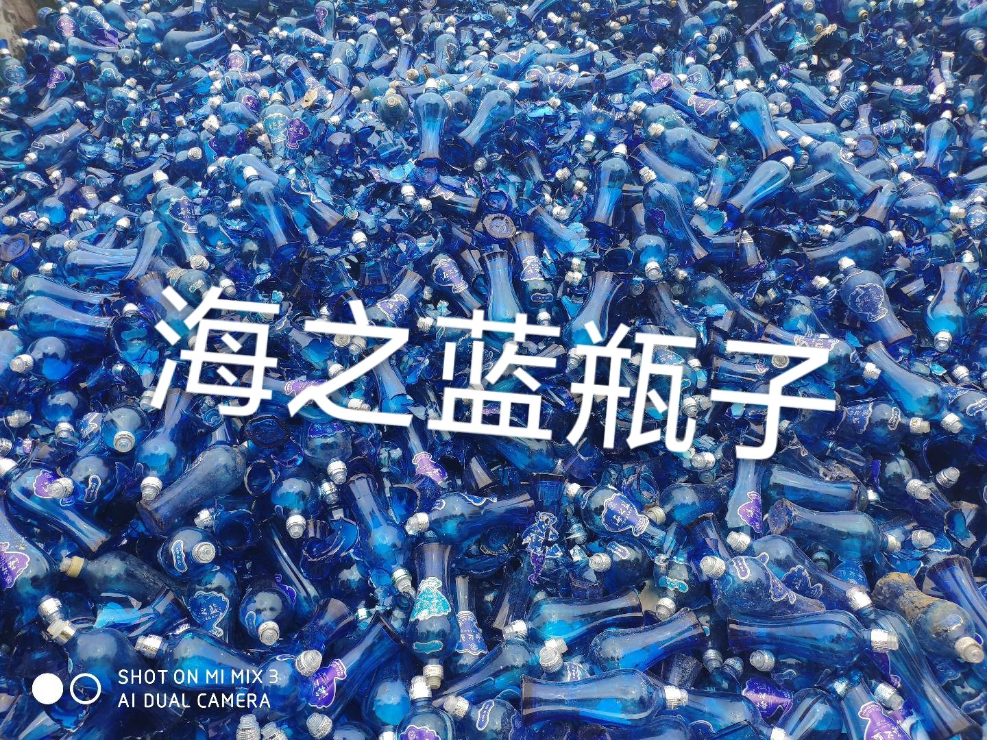 泗洪海之蓝瓶回收