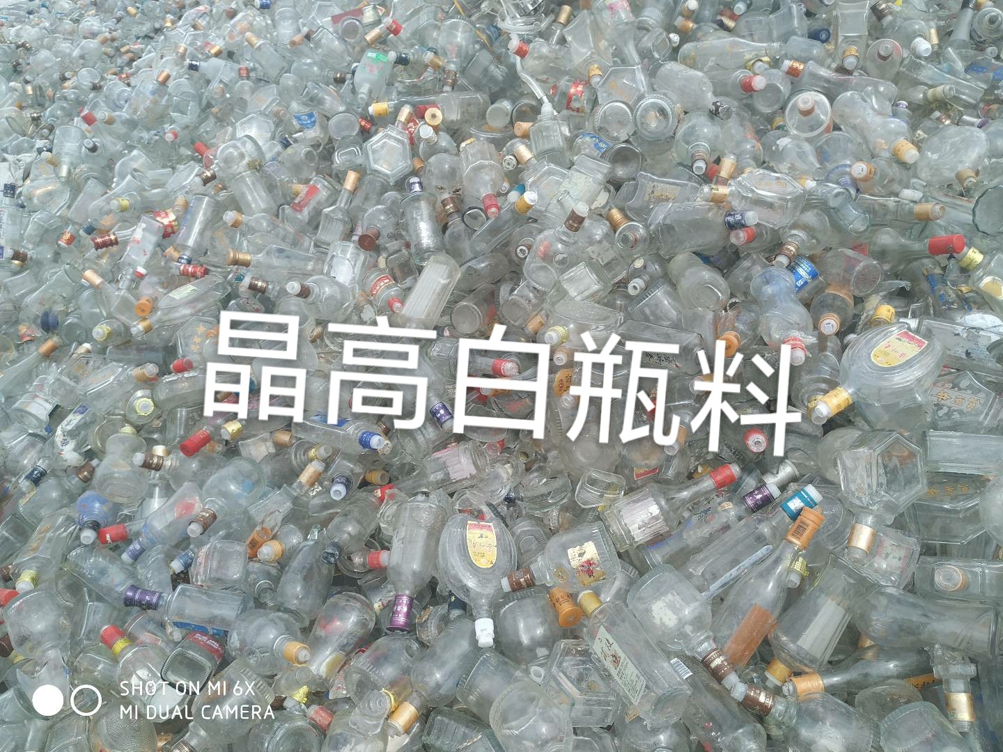 泗洪晶高白瓶料回收