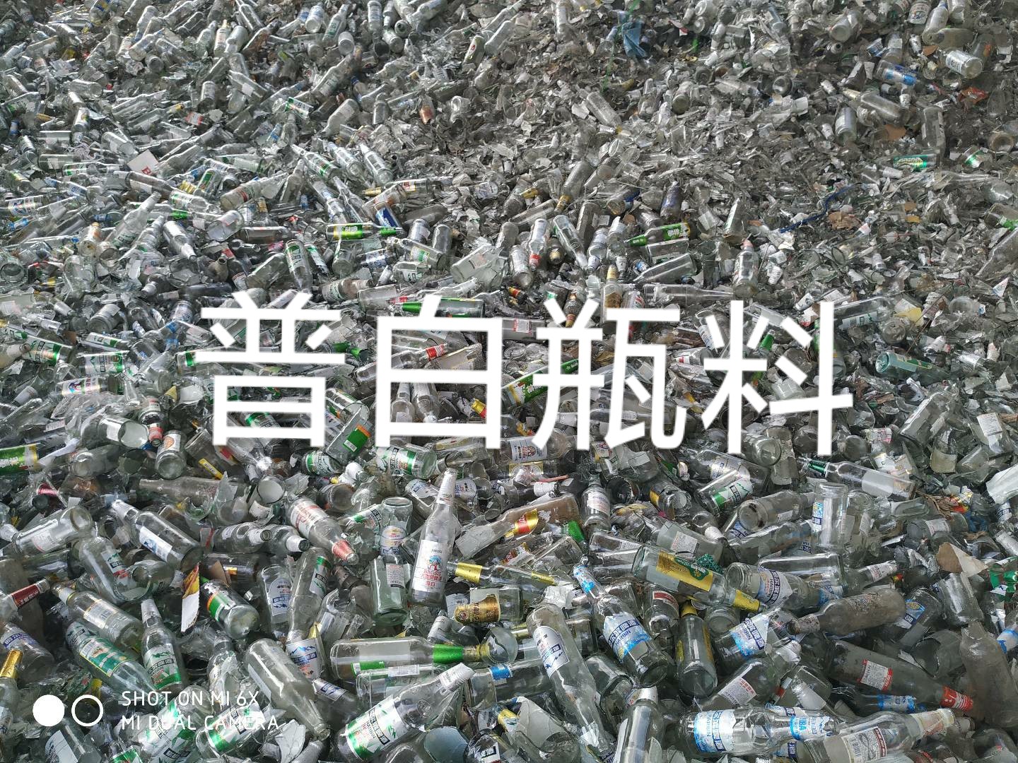 泗洪普白瓶料回收